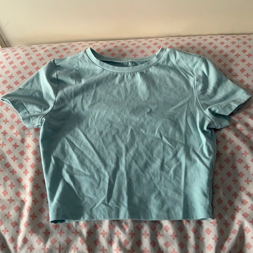 Mint green/cotton candy blue crop top
